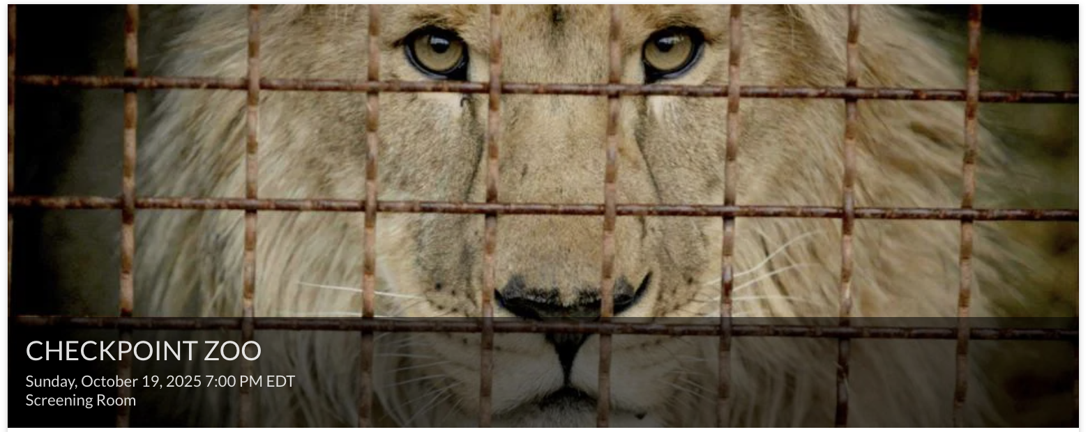 CHECKPOINT ZOO Documentary Film Screening